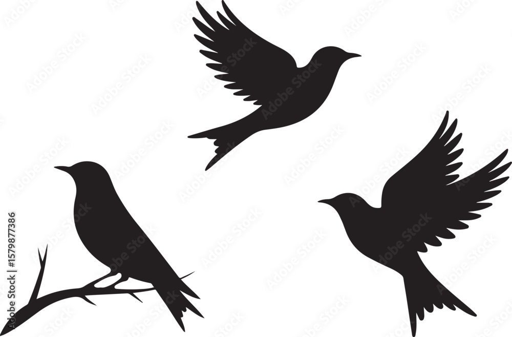 Fototapeta premium Flying and Perching Bird Silhouette Set Crow and Sparrow Vector Silhouettes Bundle Black Bird Clipart Collection – Flying & Branch Poses