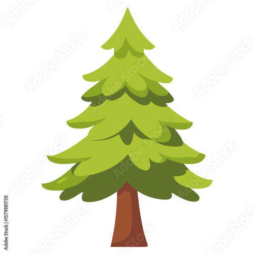 Pine tree illustration christmas evergreen vector