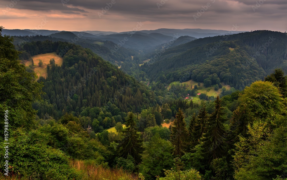 Obraz premium Rolling hills dense forest aerial view