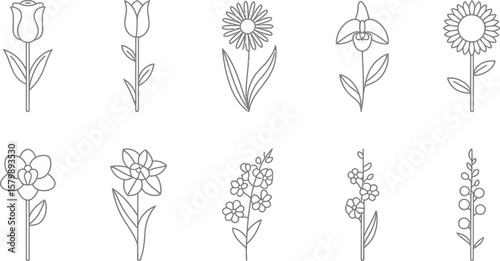 Line art illustration showcasing ten different types of flowers in black and white