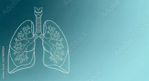 A detailed illustration of human lungs against a gradient background, representing respiratory health, medical science, and pulmonary function