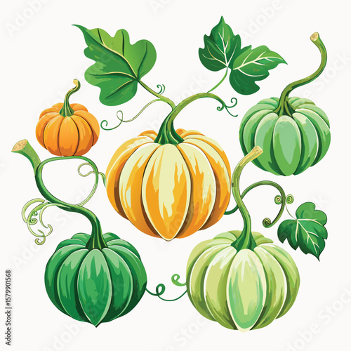 A vector illustration of a set of orange pumpkins for Halloween and autumn harvest decoration