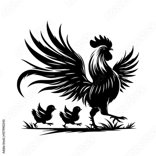 Majestic rooster leads two chicks through grassy field in silhouette