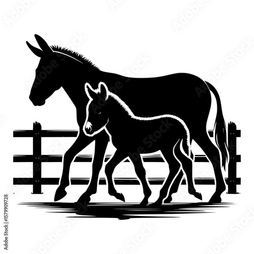 Silhouette of a mother donkey and foal walking together by a fence