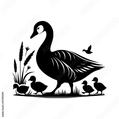 Silhouette of a canada goose and ducklings in a grassy field