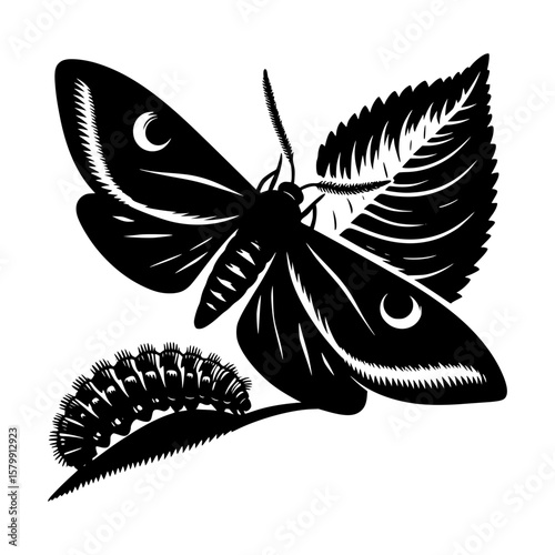 Detailed woodcut illustration of a moth and caterpillar on a leaf