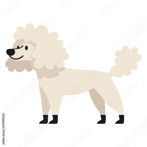 Poodle dog illustration background vector