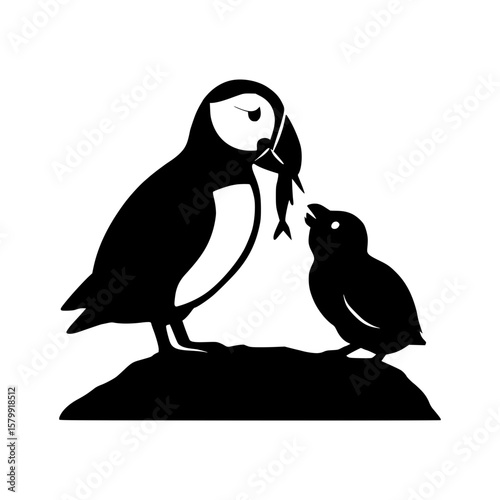 Puffin parent feeding fish to chick on rocky shoreline silhouette