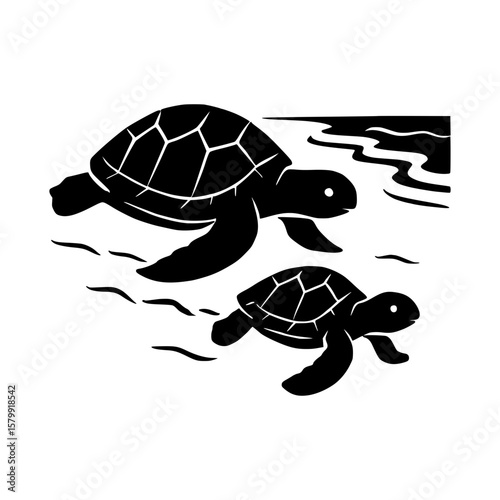 Two black sea turtles swimming together in the ocean water