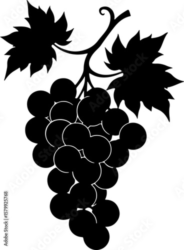 bunch of grapes, grape, fruit, vine, leaf, bunch, grapes, food, wine, berry, vector, ripe, plant, illustration, branch, nature, grapevine, autumn, green, sweet, agriculture, fresh, harvest, juicy, hea