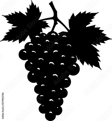 bunch of grapes, grape, fruit, vine, leaf, bunch, grapes, food, wine, berry, vector, ripe, plant, illustration, branch, nature, grapevine, autumn, green, sweet, agriculture, fresh, harvest, juicy, hea