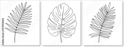 Minimalist tropical leaves art print set, botanical line drawing wall decor, monstera and palm leaf prints