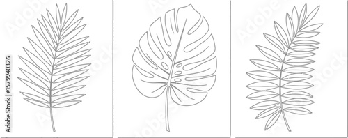 Tropical leaves line art set minimalist botanical illustration palm monstera leaf wall decor print design