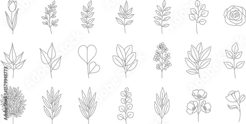 Botanical line art vector set, floral elements for wedding invitation, minimalist leaves and flowers design