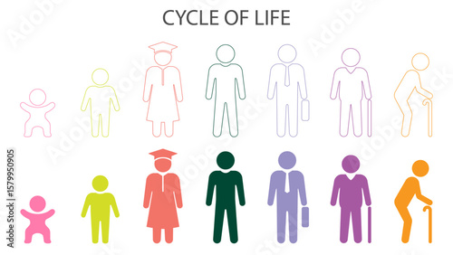 Cycle of life infographic
