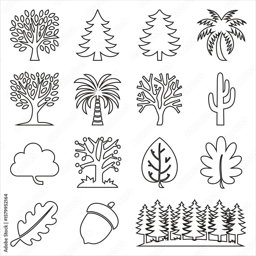 Obraz premium Various Trees Leaves and Acorn Illustrations leaf palm tree