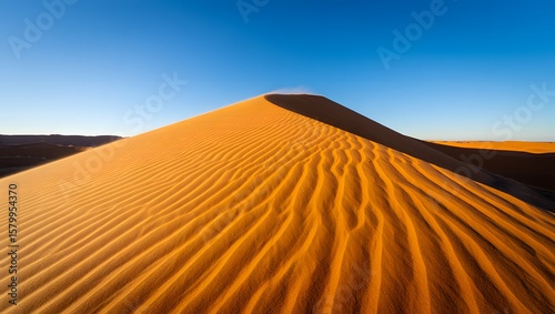 Fototapeta Naklejka Na Ścianę i Meble -  sand dunes in the desert