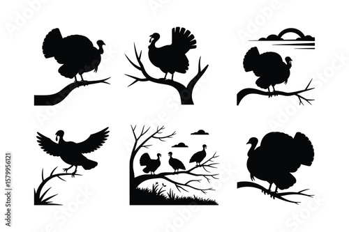 Turkeys perched on branches with scattered clouds and grass bird fowl