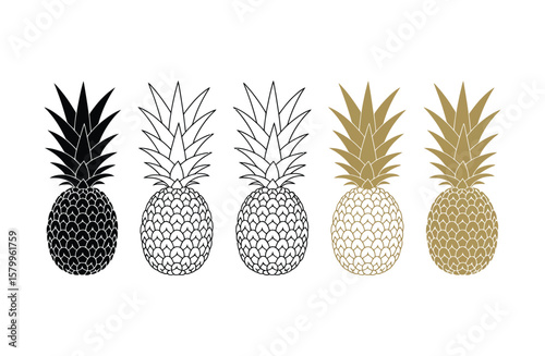 Vector of pineapple plant ananas comosus design labeled vector art linocut silhouette
