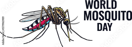 Vector art of raising awareness for world mosquito day with a detailed illustration of a mosquito, isolated on white background