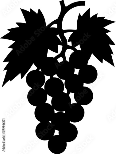 bunch of grapes vector illustration, grape, fruit, vine, leaf, grapes, wine, food, bunch, vector, illustration, branch, nature, ripe, plant, grapevine, berry, sweet, design, vineyard, harvest, fresh, 