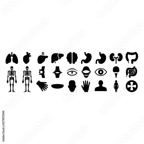 Comprehensive Human Anatomy Icons: Organs, Skeleton, and Body Parts for Medical Use