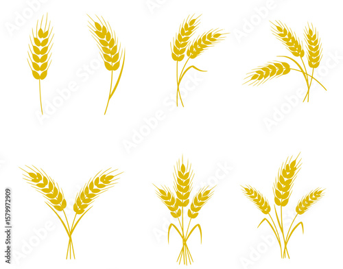 set illustrations of golden wheat stalks