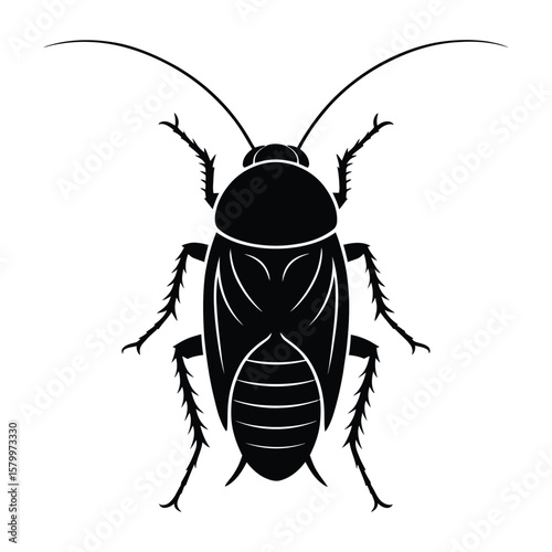 Anatomical Detailed Cockroach Silhouette, Vector, Illustration, Outline, Line Art, Icon, White Background.