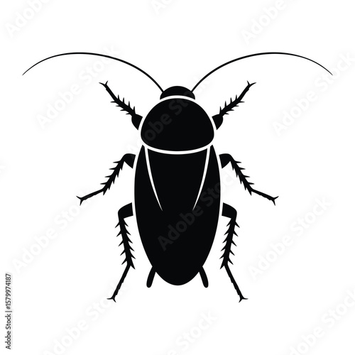 Flat Design Cockroach Silhouette, Vector, Illustration, Outline, Line Art, Icon, White Background.
