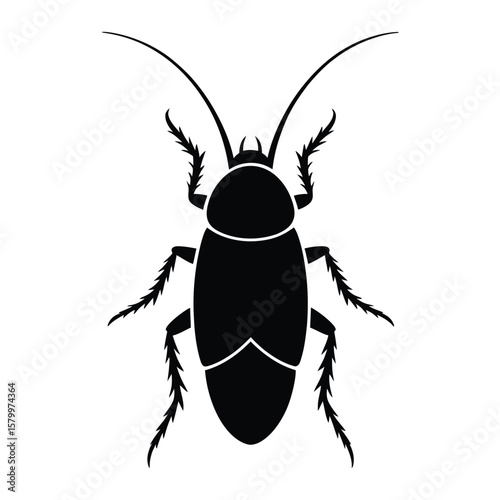 Hand-Drawn Roach Silhouette, Vector, Illustration, Outline, Line Art, Icon, White Background.
