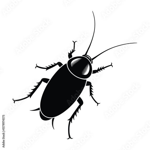 Line Art Cockroach Silhouette, Vector, Illustration, Outline, Line Art, Icon, White Background.
