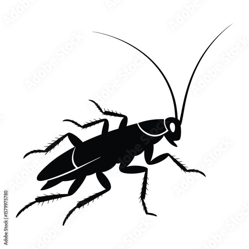 Running Roach Dynamic Pose Silhouette, Vector, Illustration, Outline, Line Art, Icon, White Background.