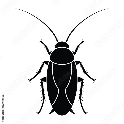 Top View German Cockroach Silhouette, Vector, Illustration, Outline, Line Art, Icon, White Background.