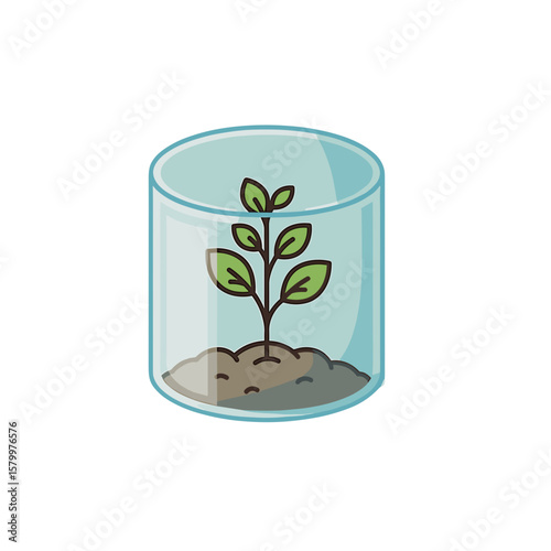 Tree Guard. Young Plant Protected in a Glass Cylinder
