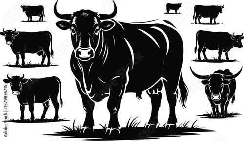 Black Bull and Cows Silhouettes Farm Animals Set cattle