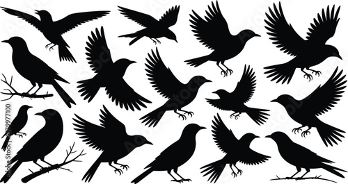 Black Bird Silhouettes Flying Perched Collection birds