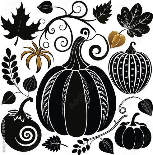 Orange vector pumpkin illustration for autumn harvest
