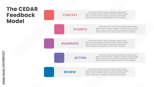 CEDAR Feedback Model Infographic Design