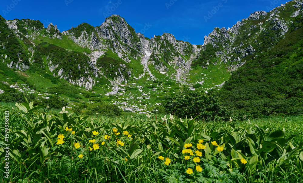 Fototapeta premium Alpine Buttercups and Peaks – Summer View from Senjojiki Cirque