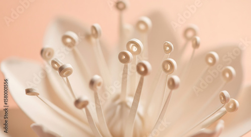 A delicate creamcolored flower center with intricate stamens and pistils