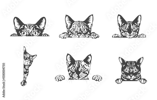 Bengal Cat Peeking Svg, Bengal Cat Peeking Vector, Bengal Cat Peeking Clipart, Bengal Cat Peeking Silhouette, Bengal Cat Peeking Illustration. 
