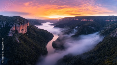 Serene fogcovered valley with winding river, towering pine trees, and vibrant sunset sky creating a tranquil, mysterious landscape viewed from a high angle