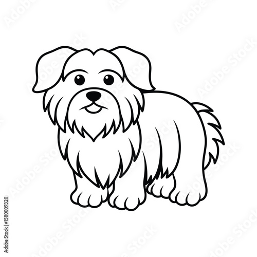 Fluffy white dog with happy expression standing puppy animal