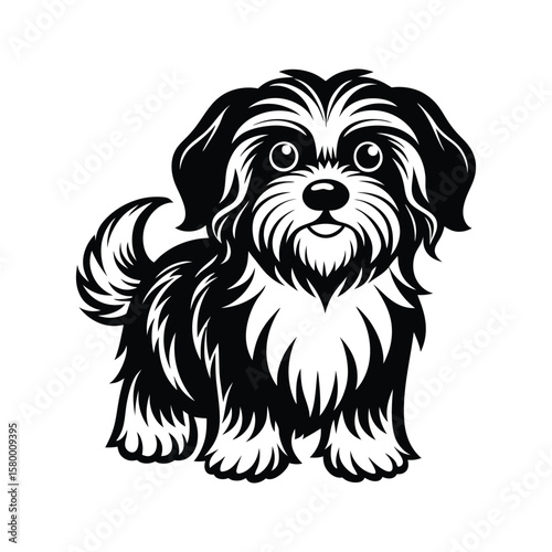 Fluffy black and white dog with round eyes and wagging tail puppy Lhasa Apso