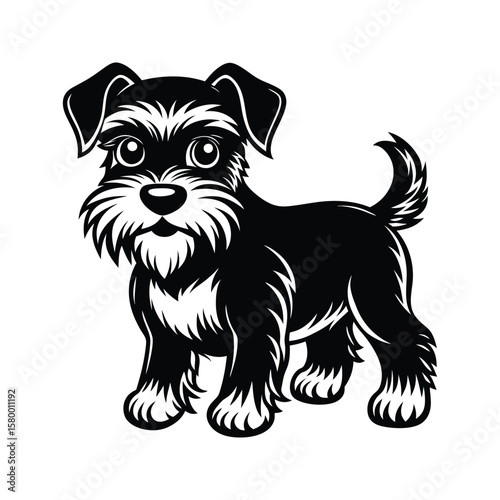 Miniature schnauzer dog with bushy beard and tail puppy animal