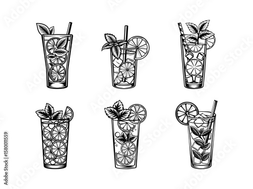 Refreshing citrus mint beverages in tall glasses drink cocktail