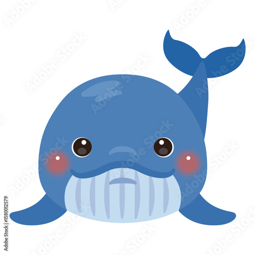 正面から見たクジラのイラスト