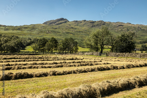 Making hay, Lake District, UK