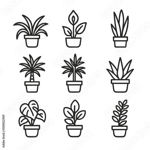 Air icon bamboo zz philodendron lily plant vera vector purifying aloe spider