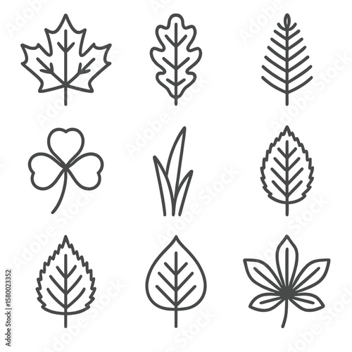 Oak leaf chestnut grass wild plant icon vector nettle poplar birch fern